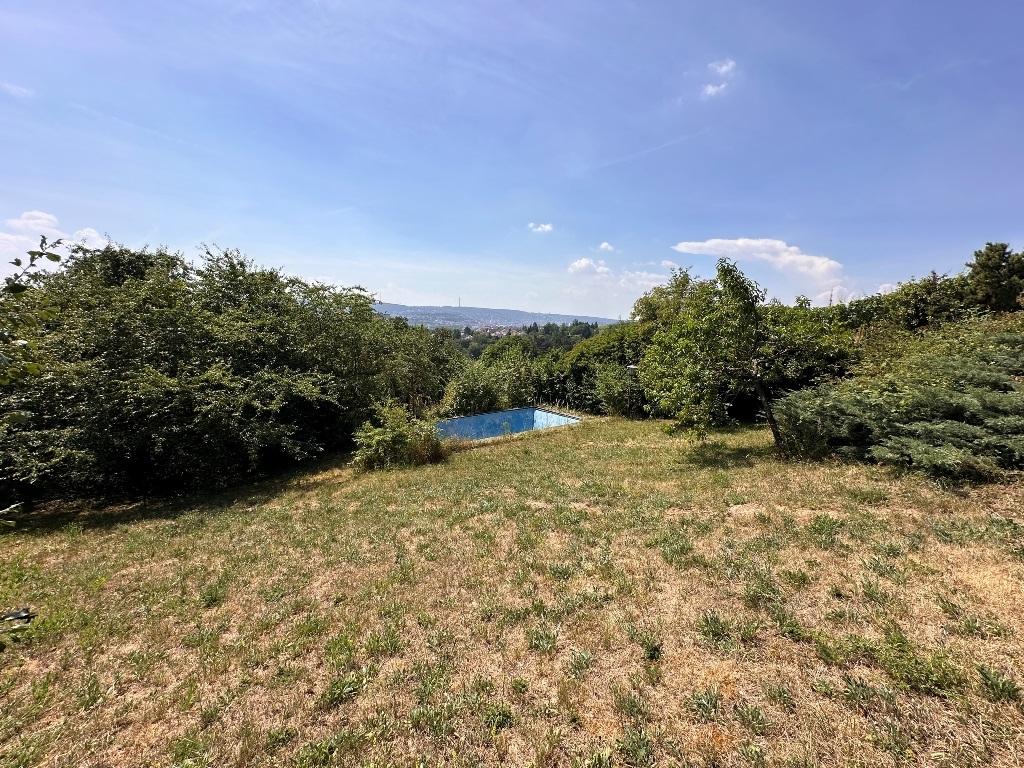 Mittlere Ebene Garten