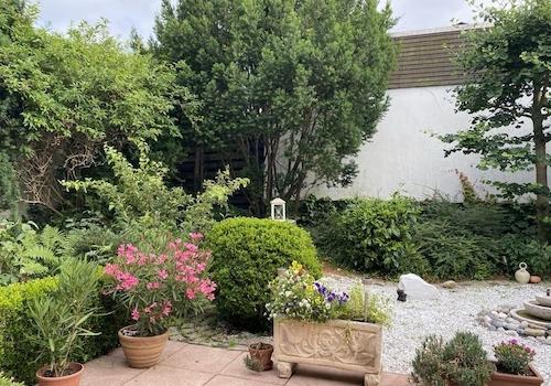 Garten im Sommer