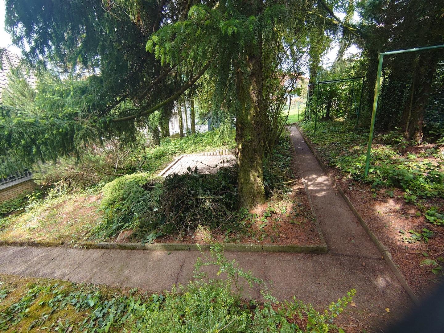 DSC_7421 Garten hinten