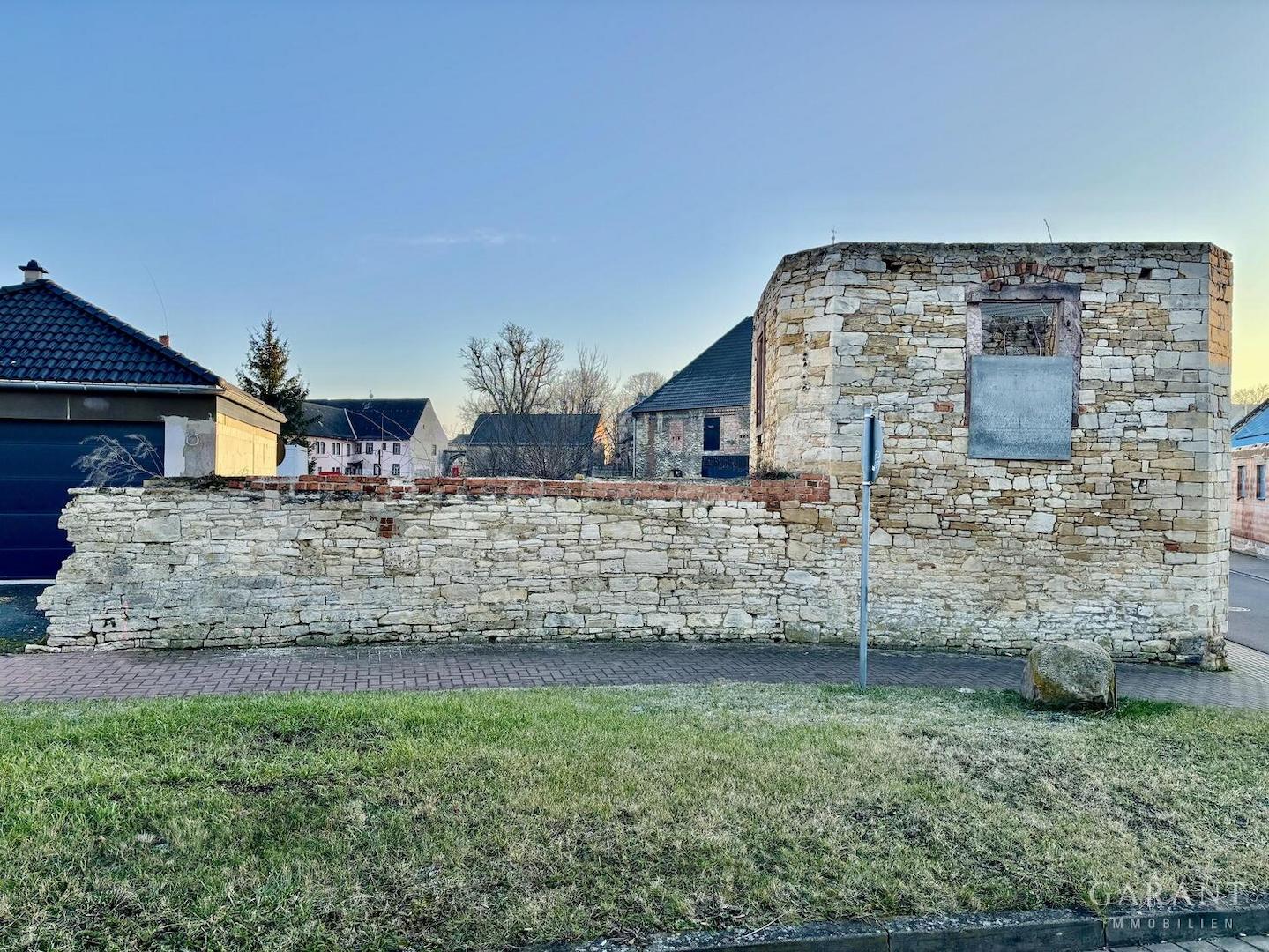 Mauer/Einfahrt