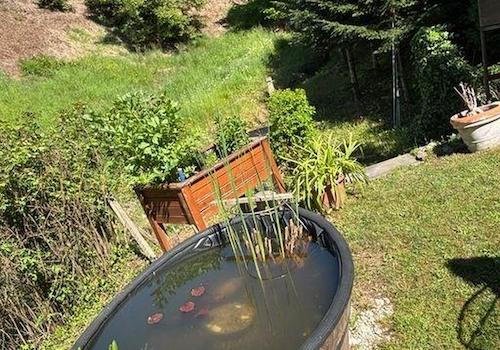 Garten mit Teich
