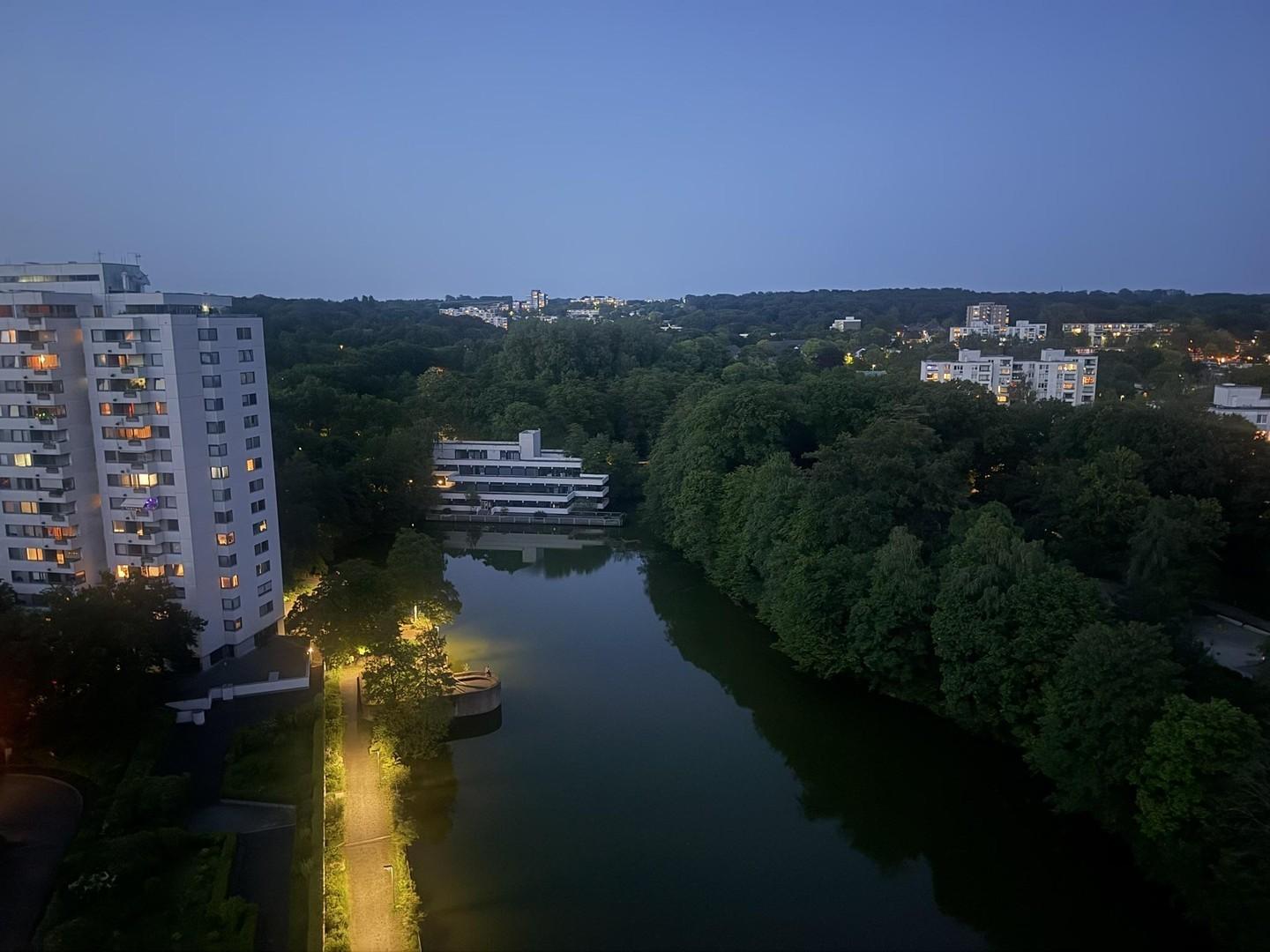 Stadtweiher bei Nacht