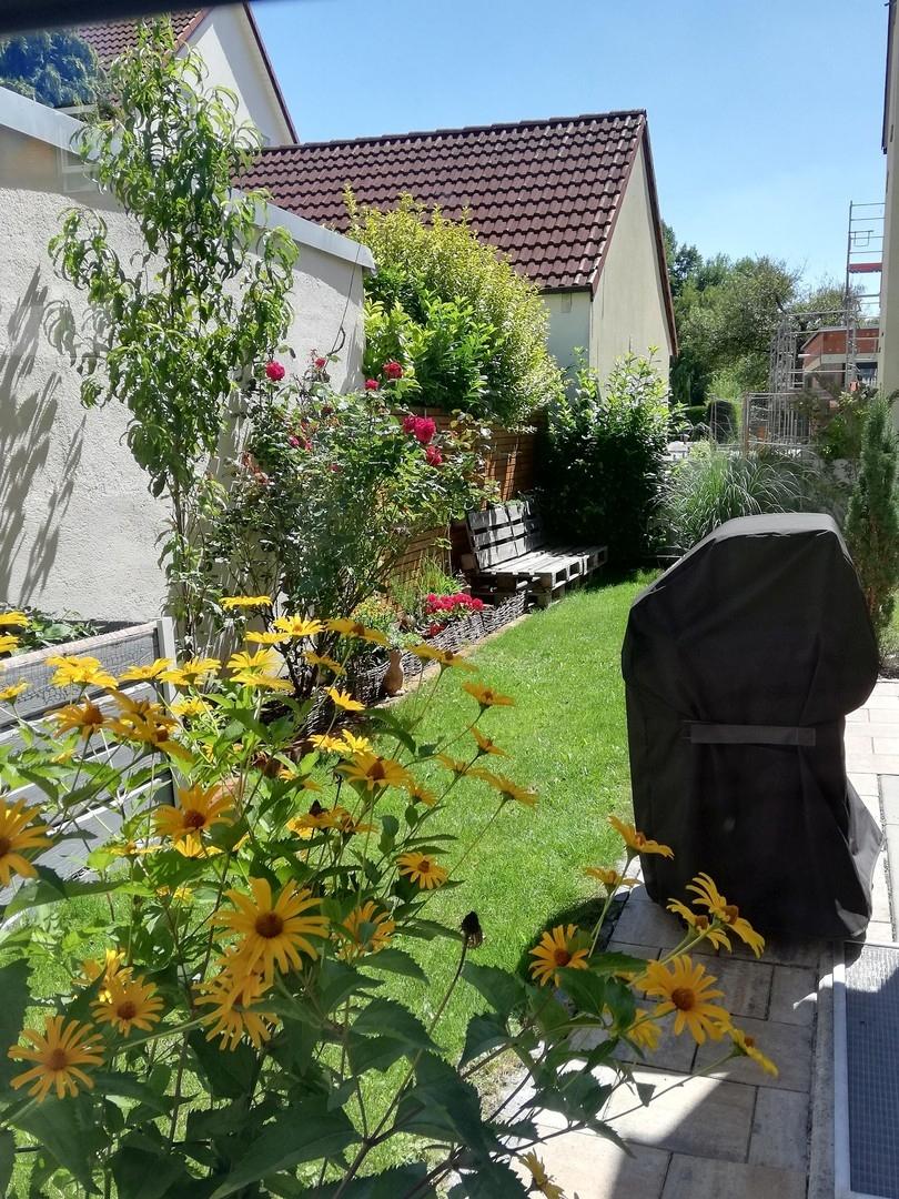 Garten Blick Richtung Süden