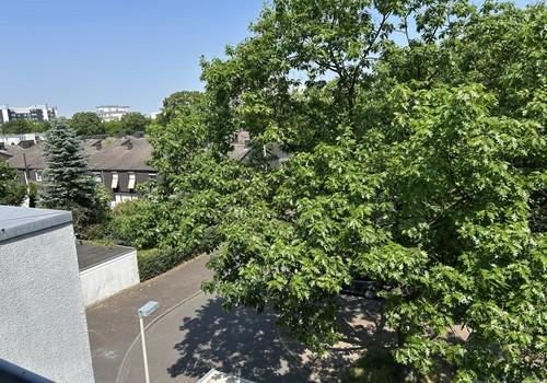 Blick aus dem Wohnzimmer
