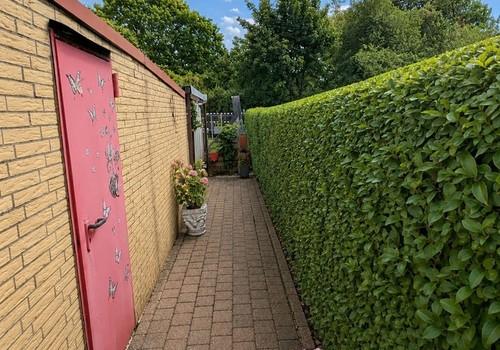 Weg zum Garten