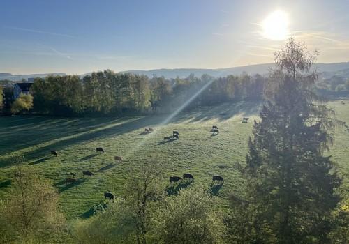 Aussicht