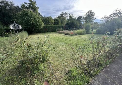 Garten 2