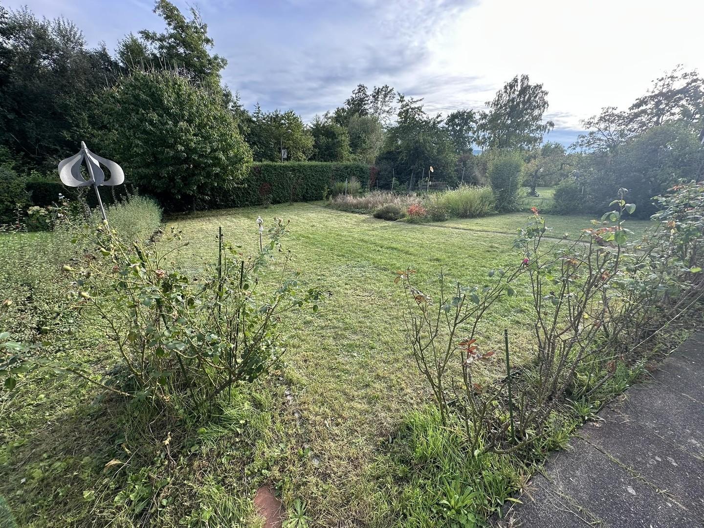 Garten 2