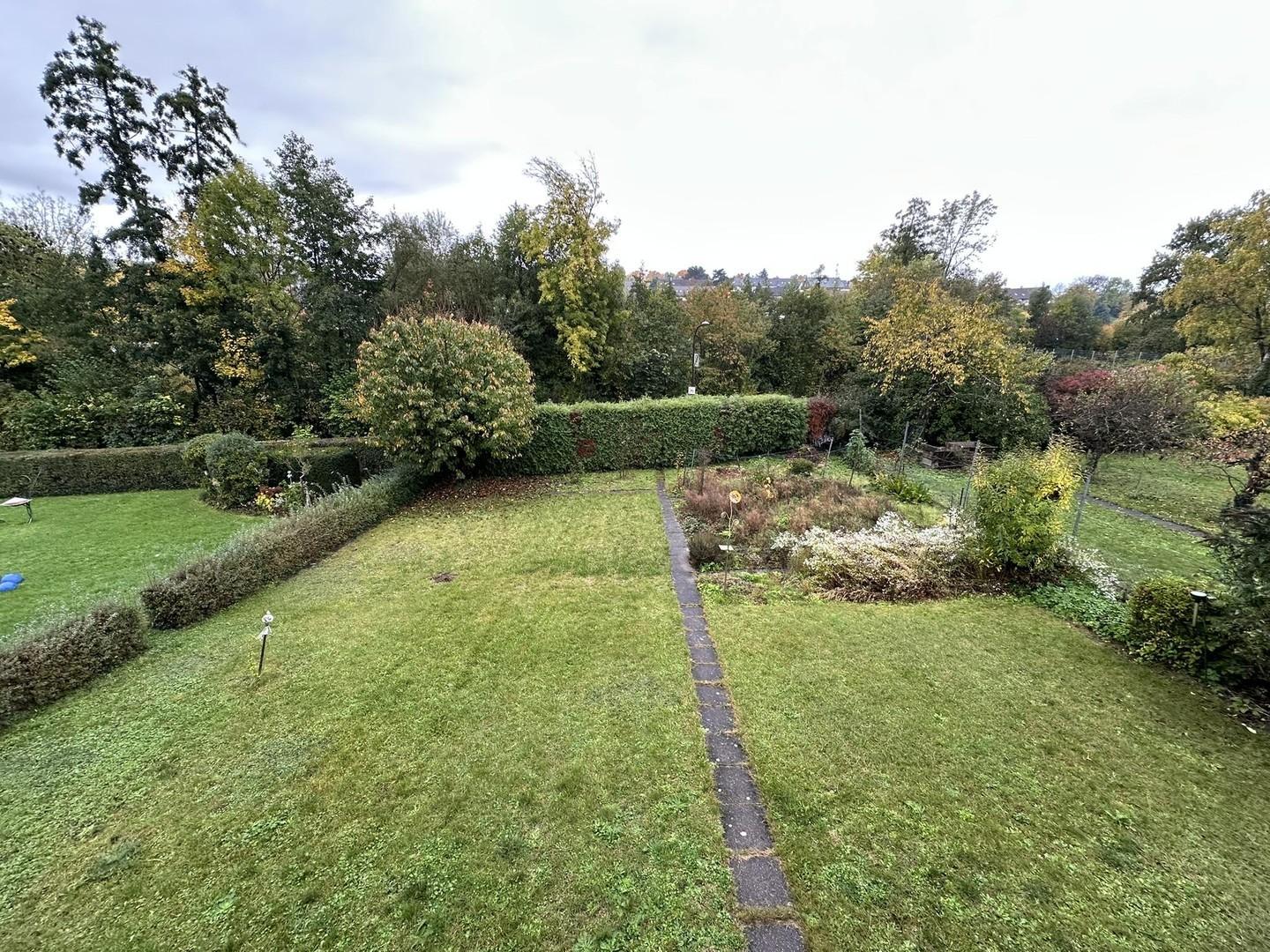 Garten 3