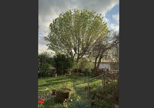 4_Garten