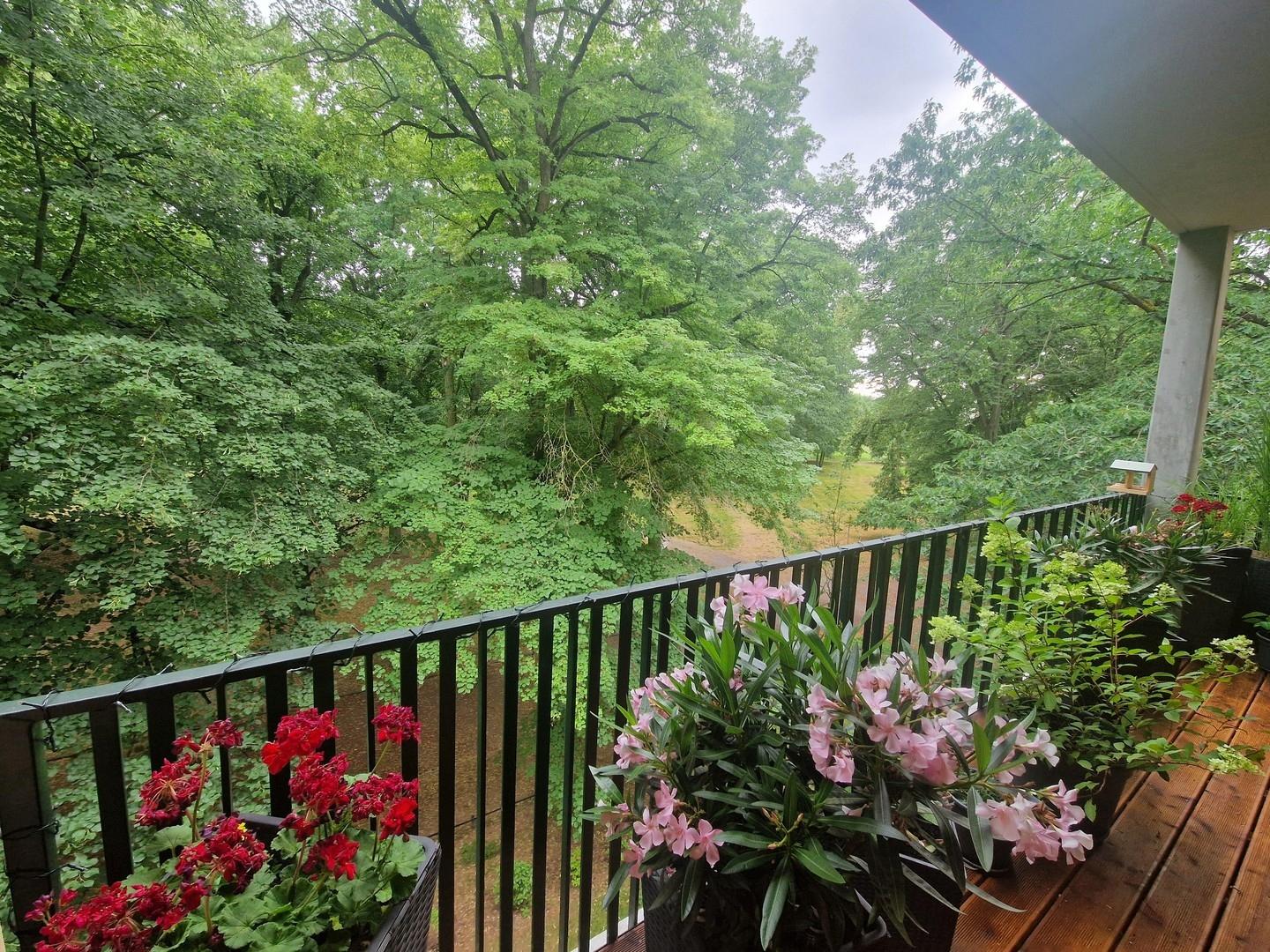 Ausblick vom großen Balkon