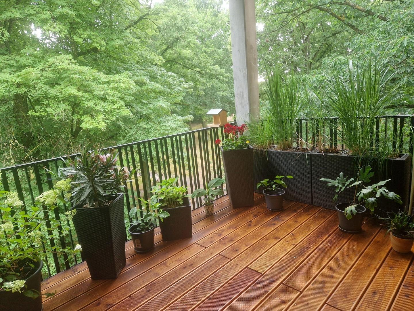 Parkblick vom Balkon Natur pur