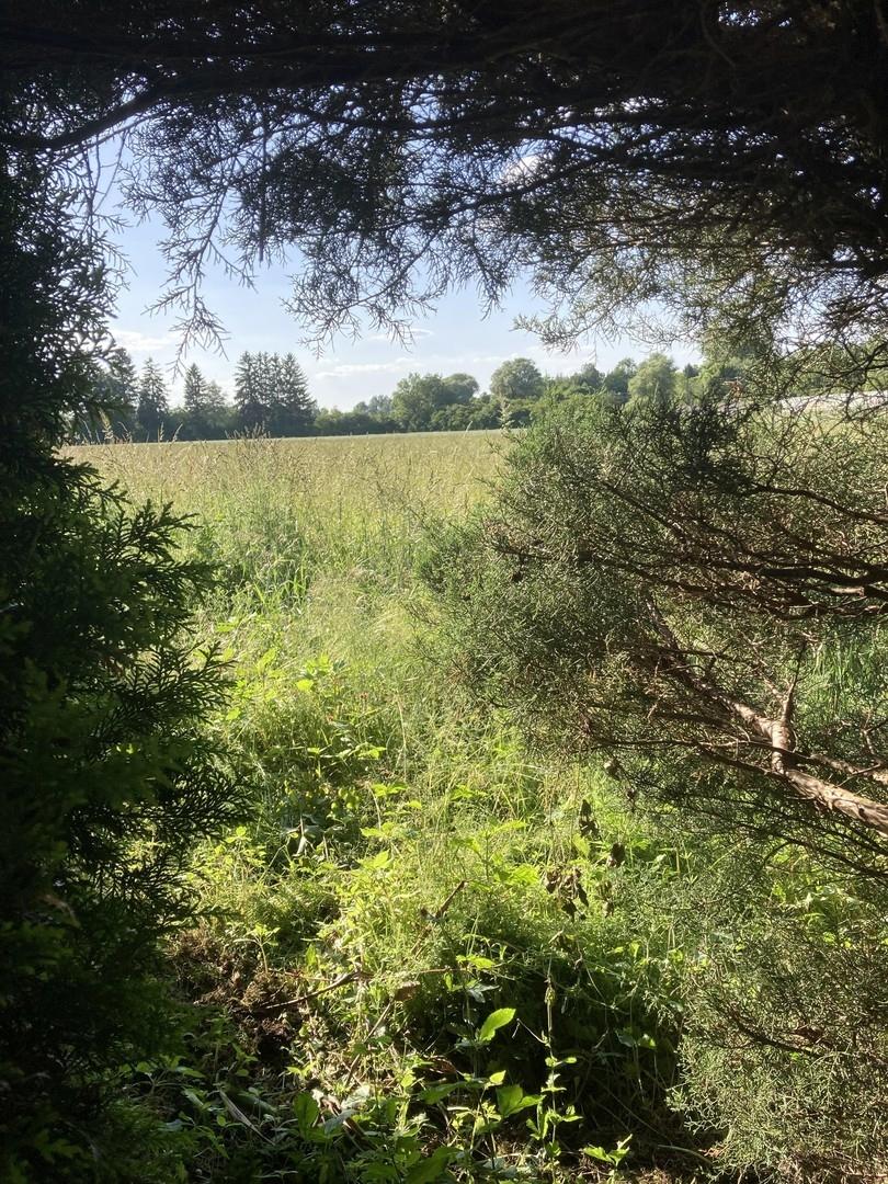 Ausblick vom Garten 