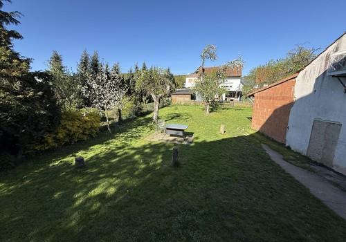 Blick in den Garten