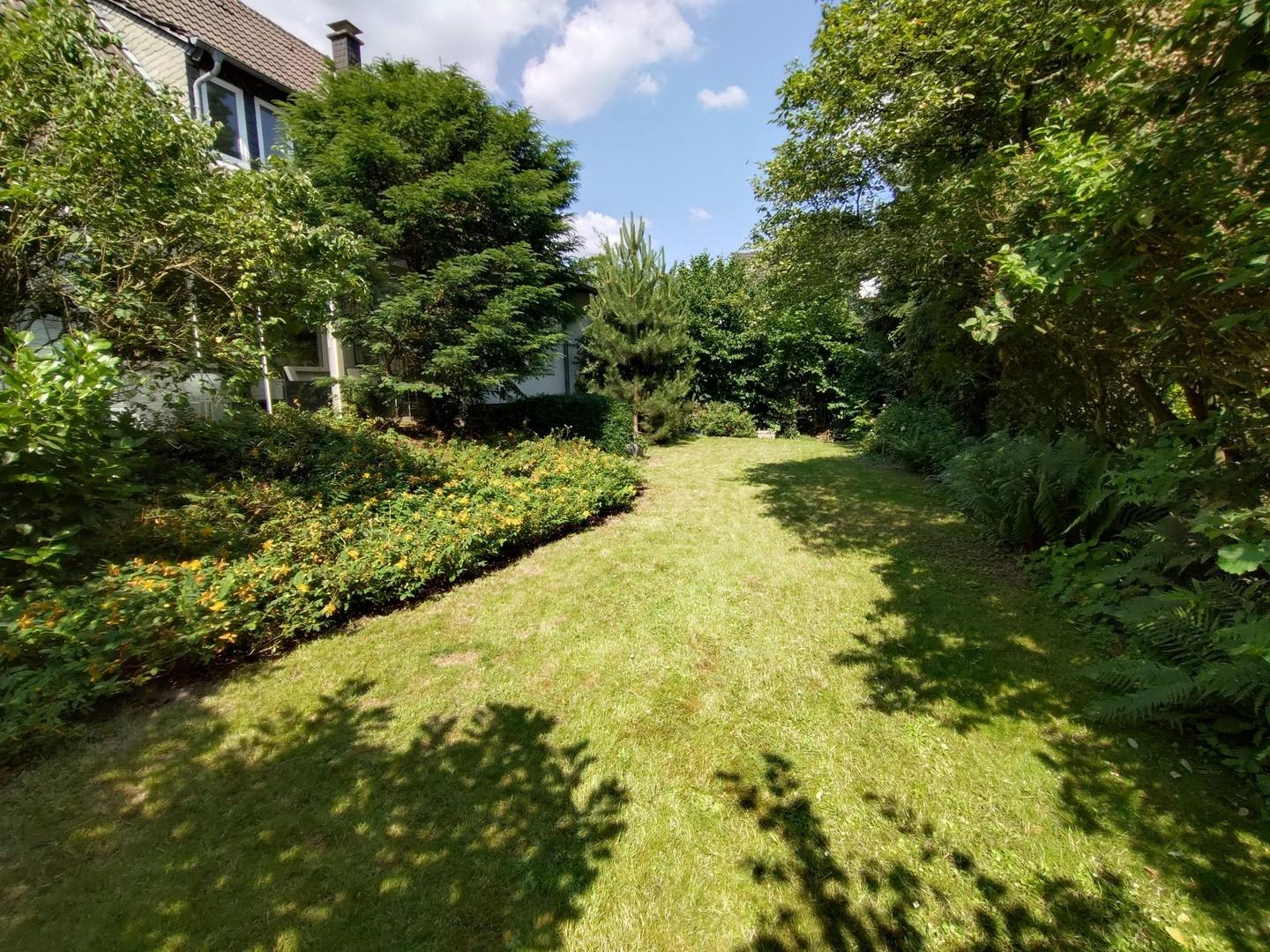 Blick in den Garten
