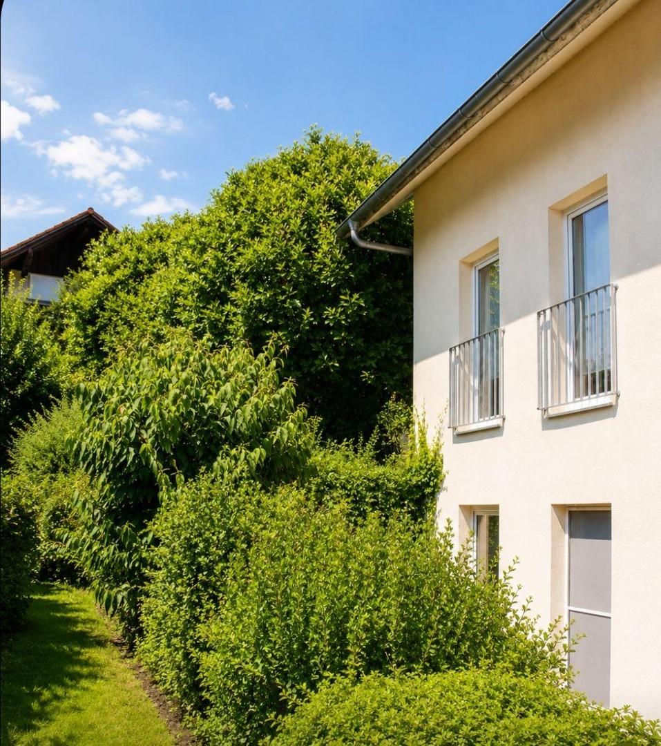Aussenansicht West-Seite