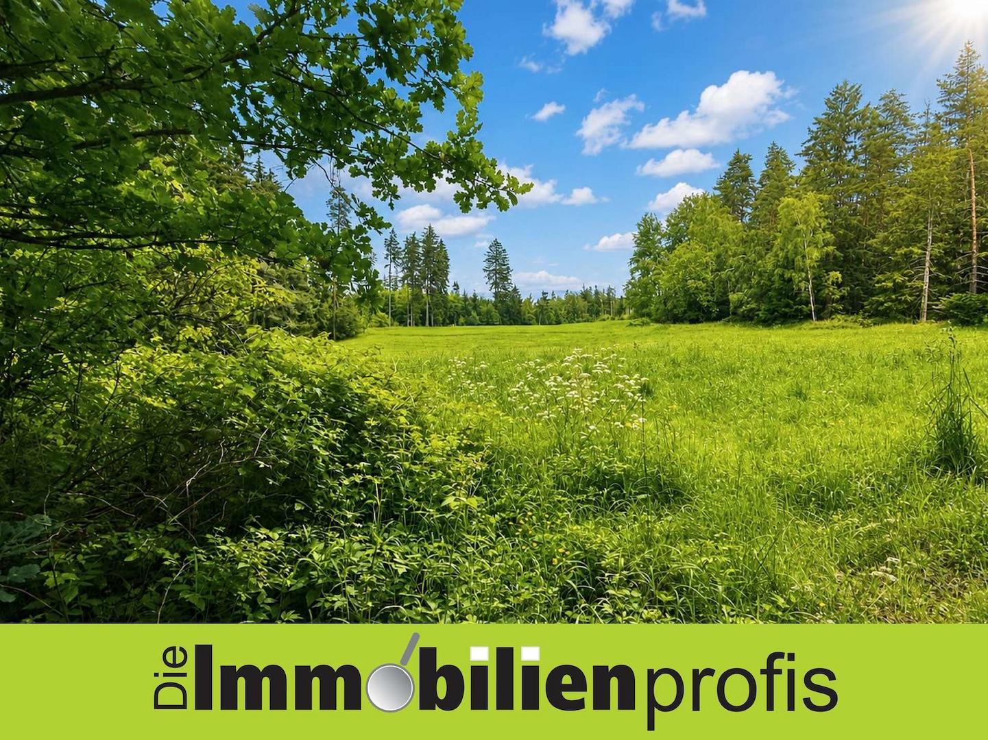 1602 - Titelbild