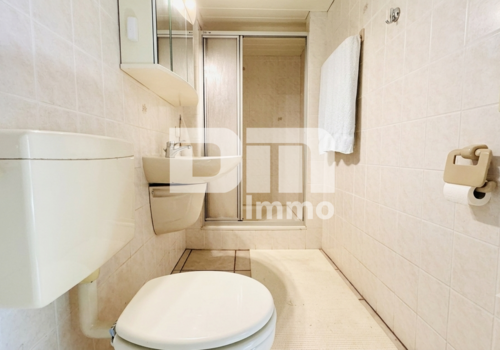Souterrain Badezimmer / Dusche