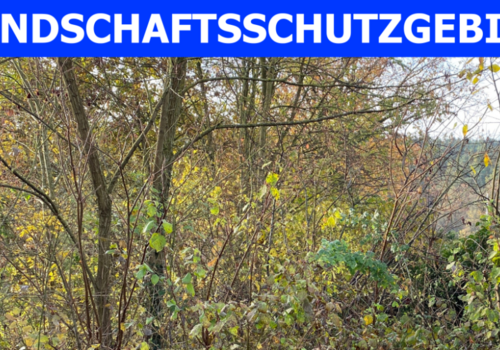 Landschaftsschutzgebiet