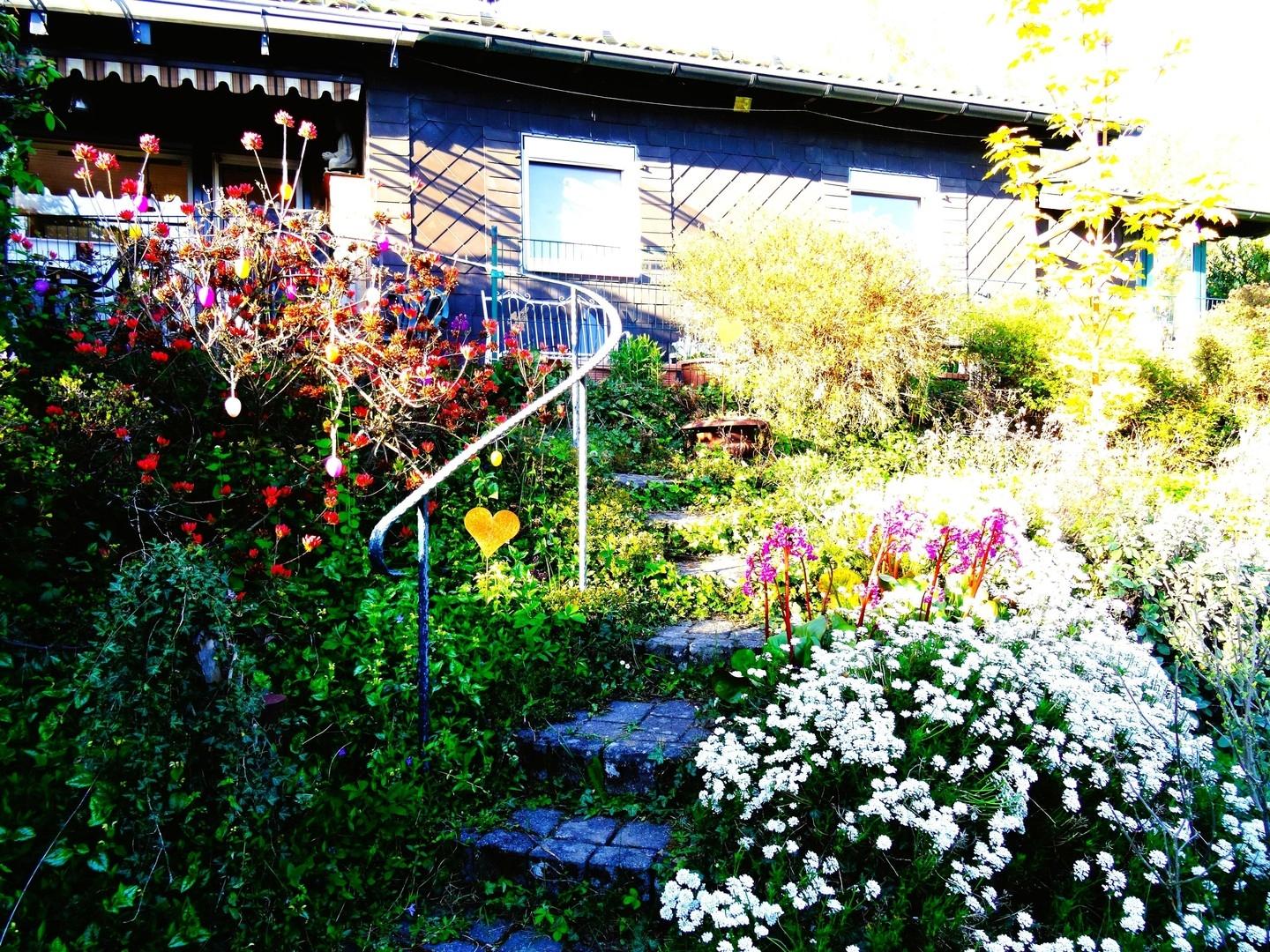Hausansicht Gartenseite