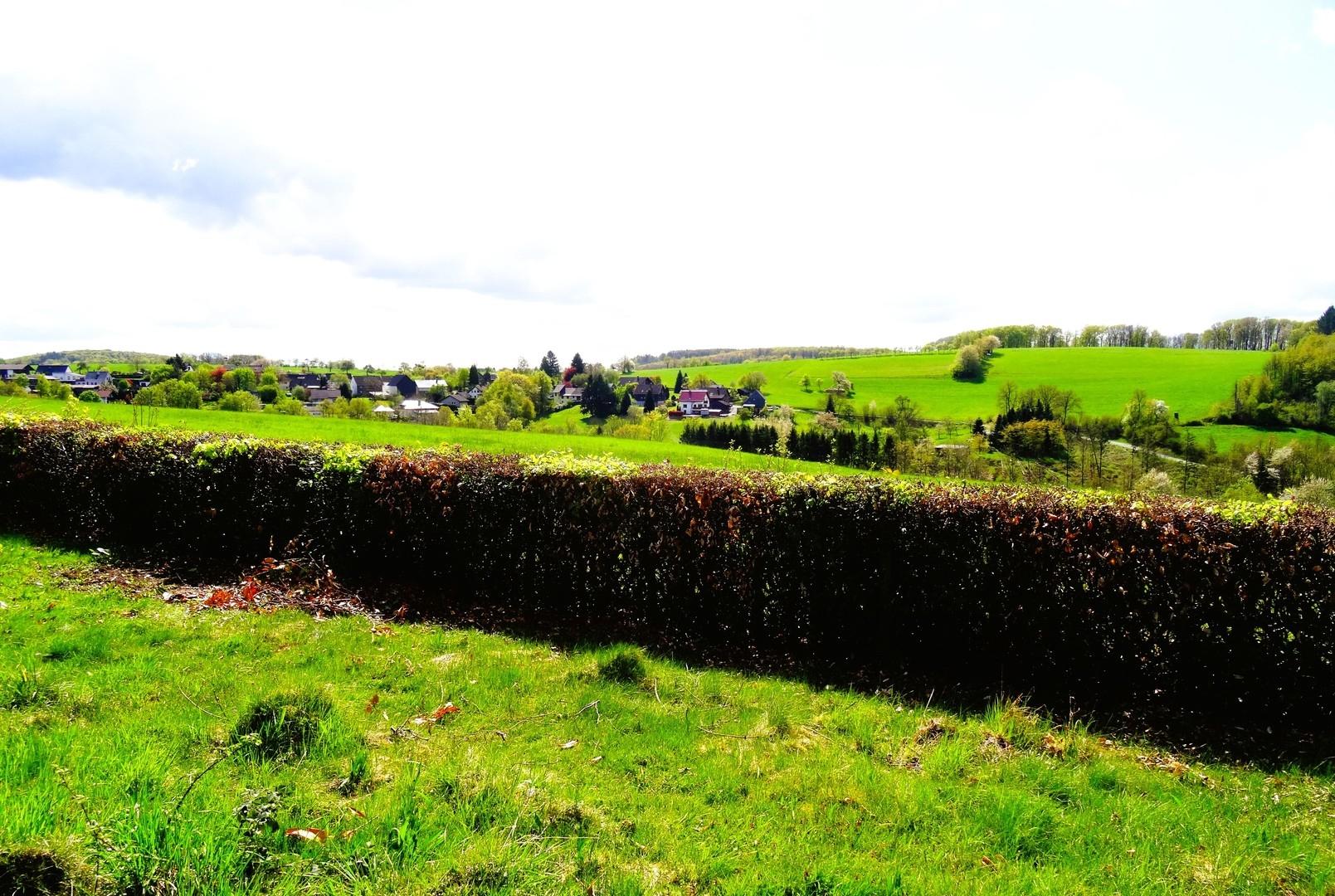 Aussicht hinterer Garten