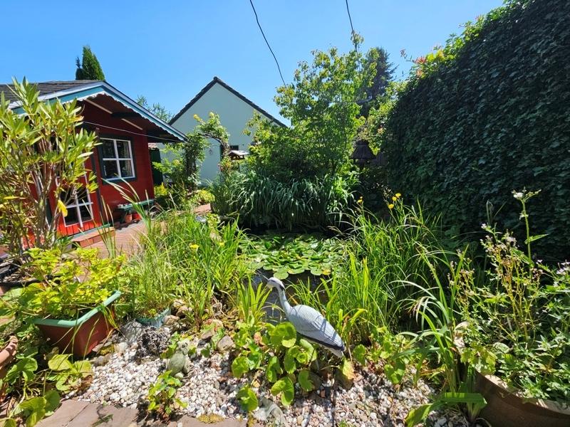 Blick vd Terrasse