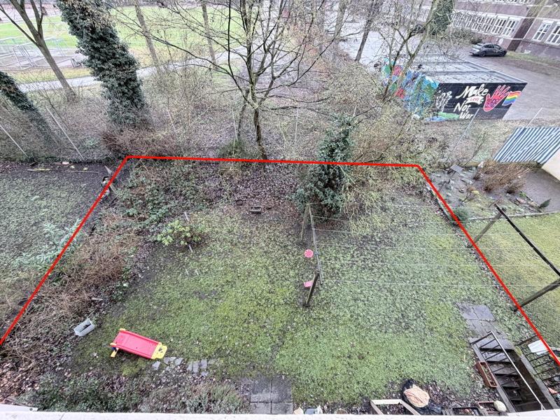 Blick in den Garten