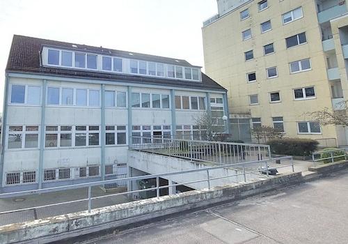 Hinteransicht mit Auffahrt