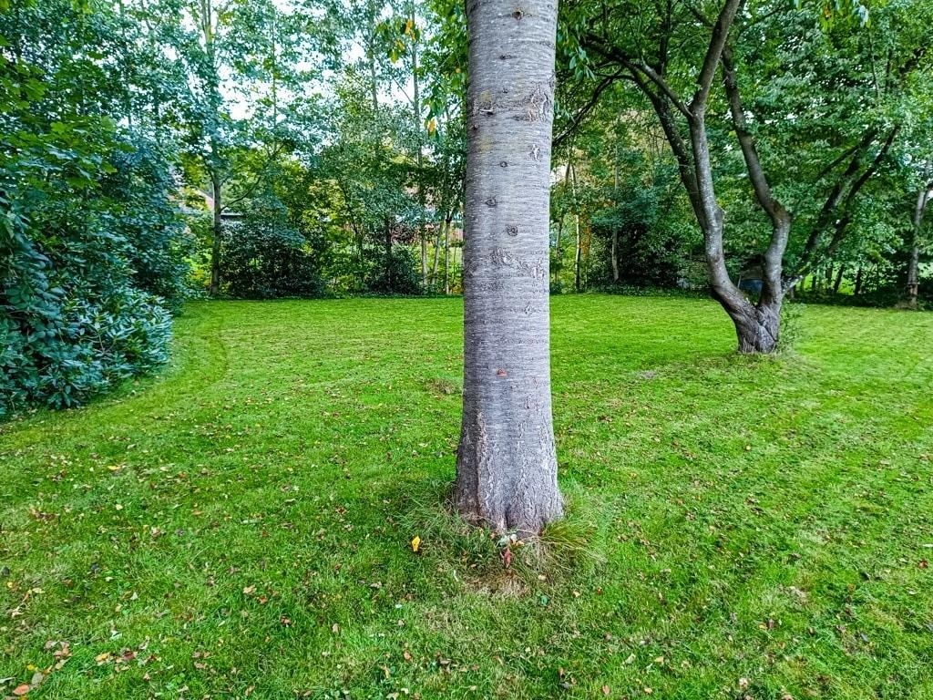 Der hintere Gartenbereich