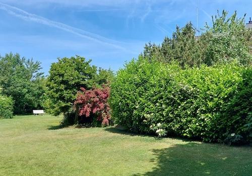 Ihr großzügiger Garten im Sommer