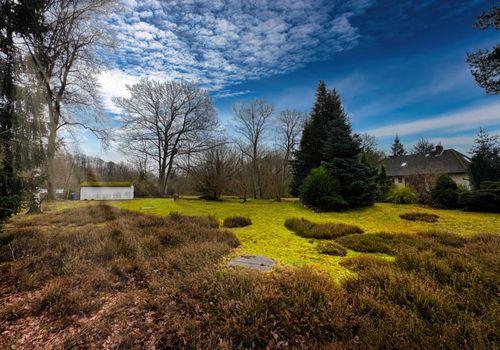 Heidelandschaft im eigenen Garten