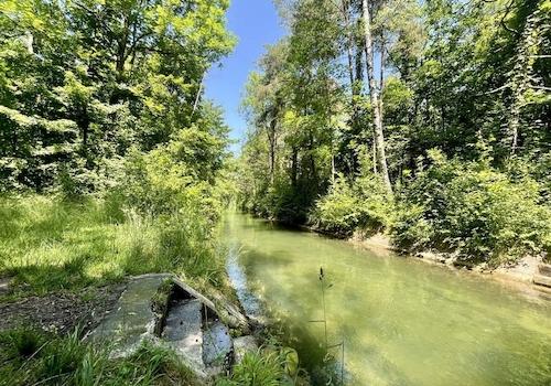 angrenzender Lochbach - Badestelle