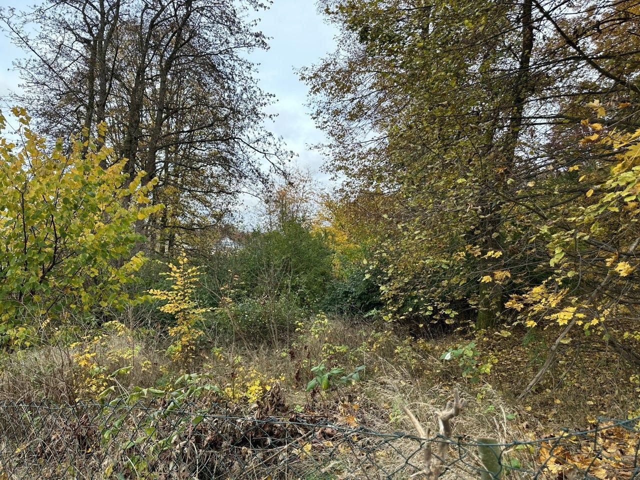 Baugrundstück Markneukirchen