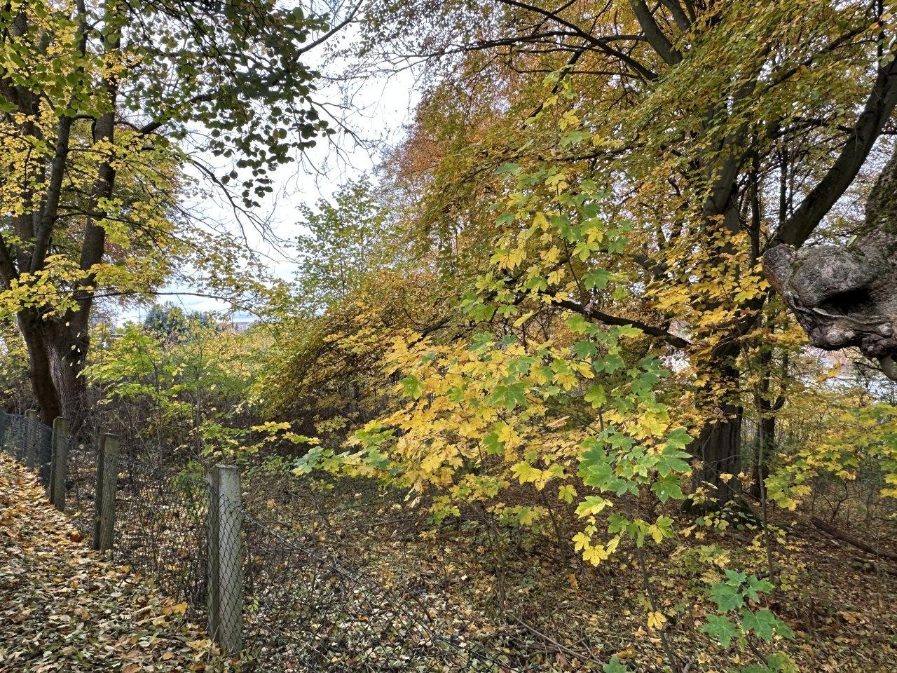Baugrundstück Markneukirchen