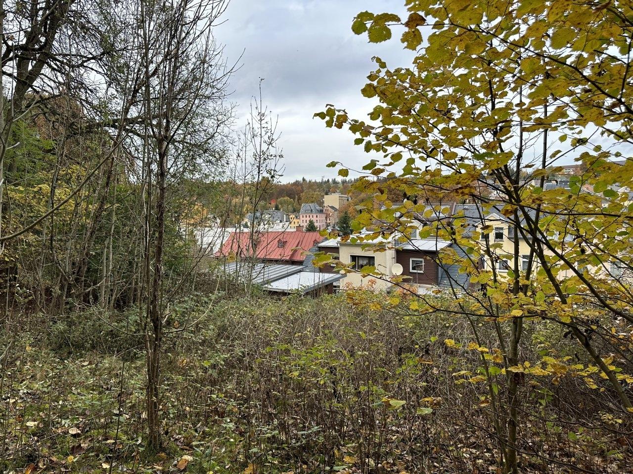 Baugrundstück Markneukirchen
