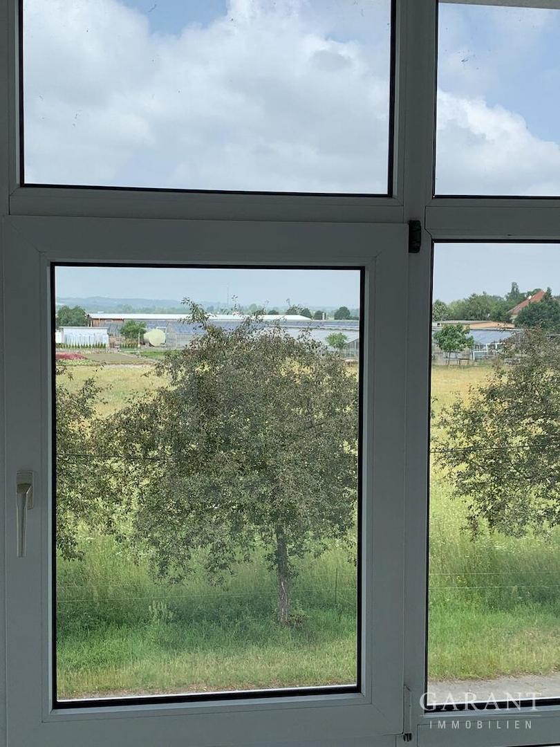 Blick aus dem Wintergarten