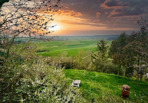 Idylle Pur