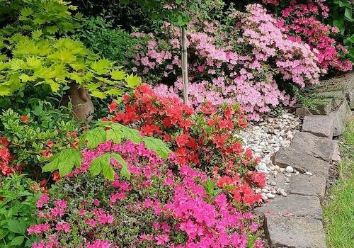 Impressionen Garten