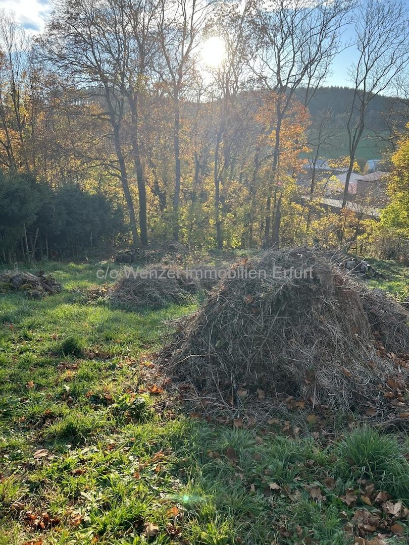 Baugrundstück mit Weitblick - Naturnahe Parzelle mit Entwicklungspotenzial