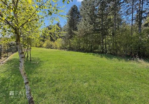 Blick zum Wald