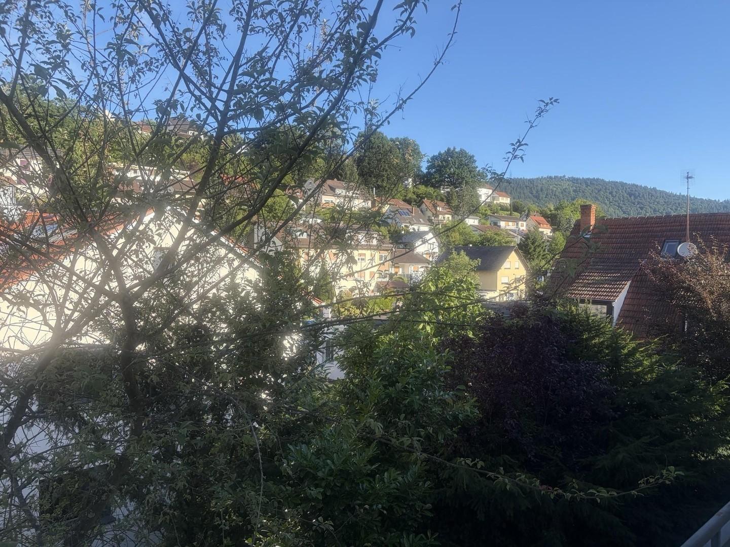 Blick vom Balkon
