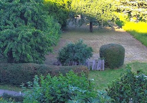 Garten, Streuobstwiese