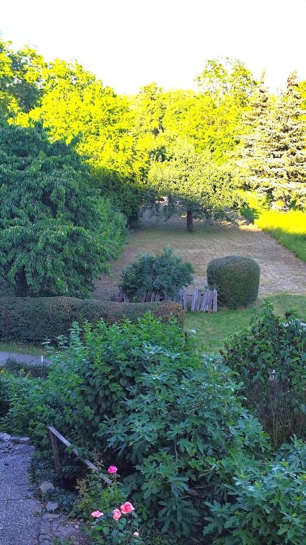 Garten, Streuobstwiese