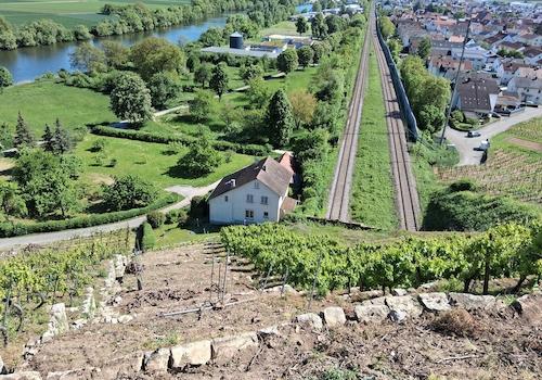 Streuobstwiese Weinberg Haus