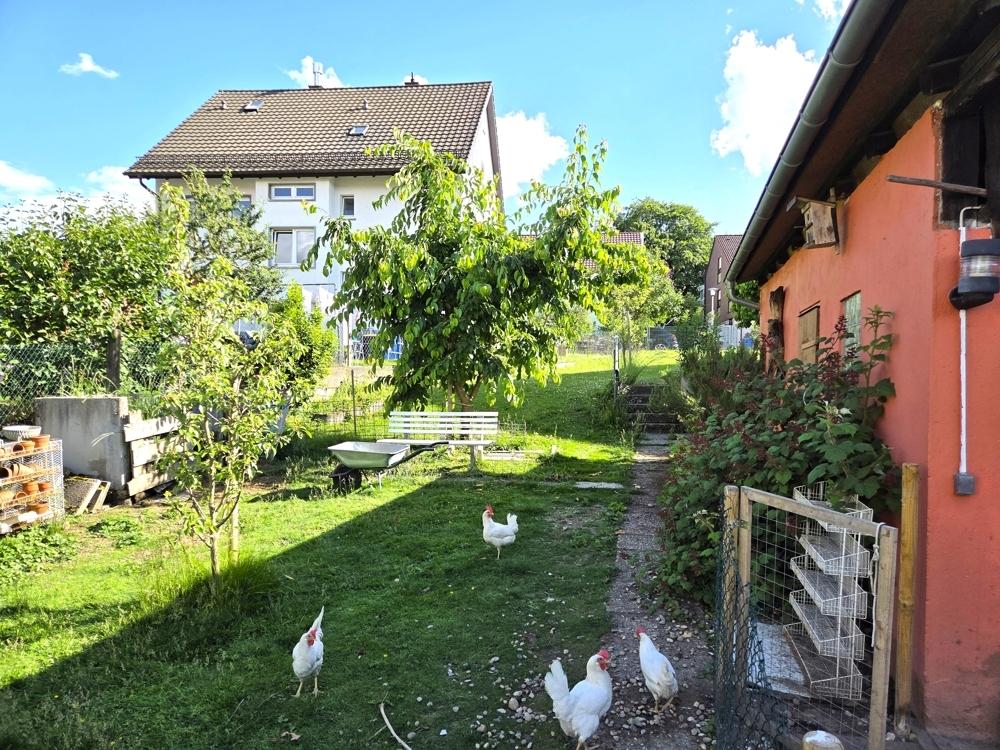 2 Vollgeschosse mit begrüntem