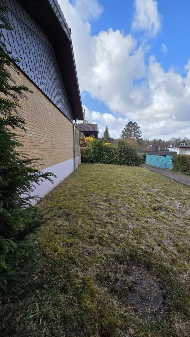 Rasenfläche hinter dem Haus