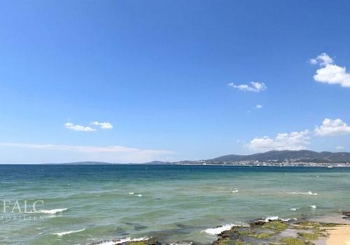 Blick
