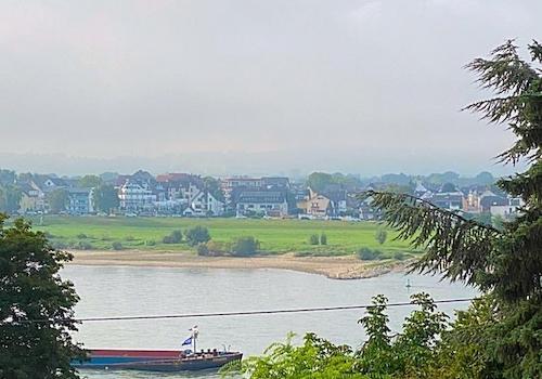 Ausblick Rhein