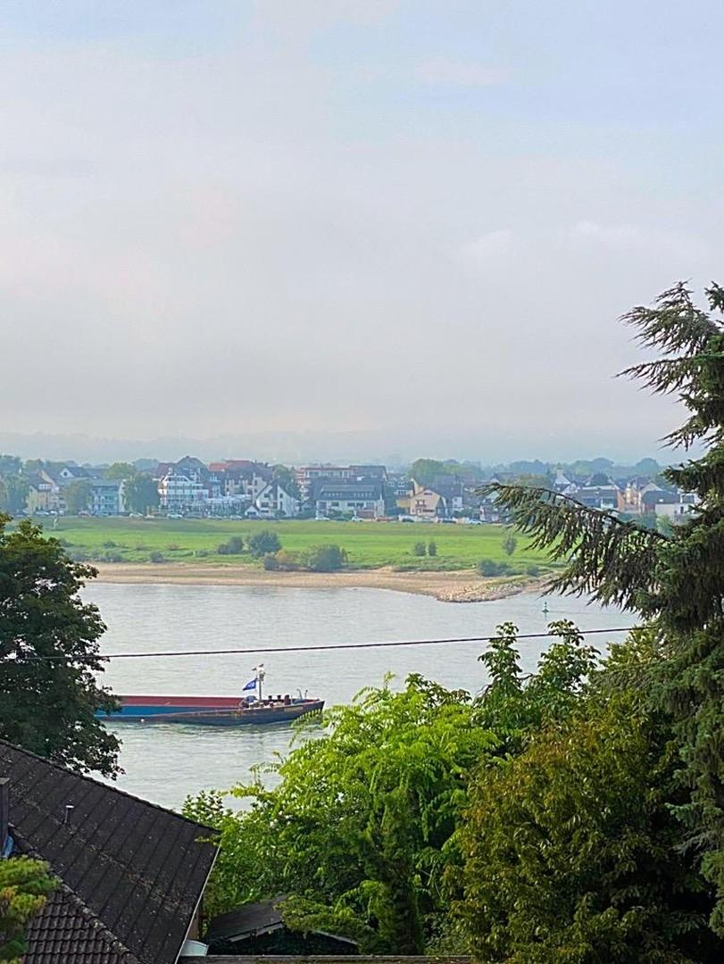 Ausblick Rhein