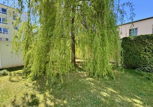 Gemeinschaftsgarten